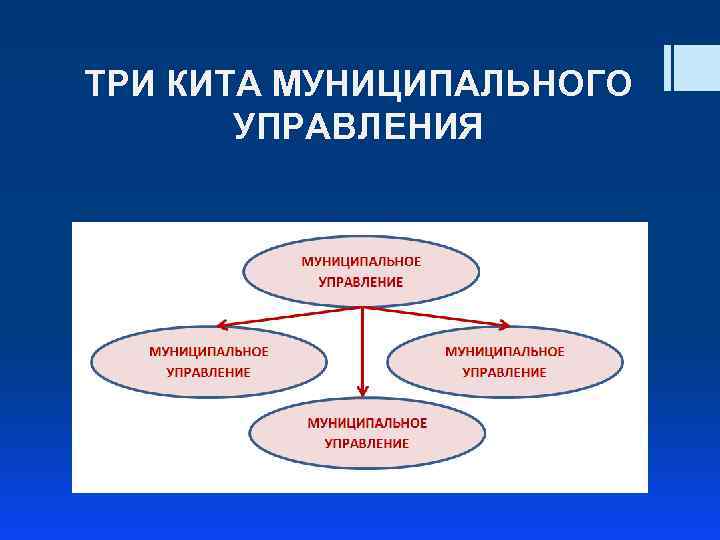 ТРИ КИТА МУНИЦИПАЛЬНОГО УПРАВЛЕНИЯ 