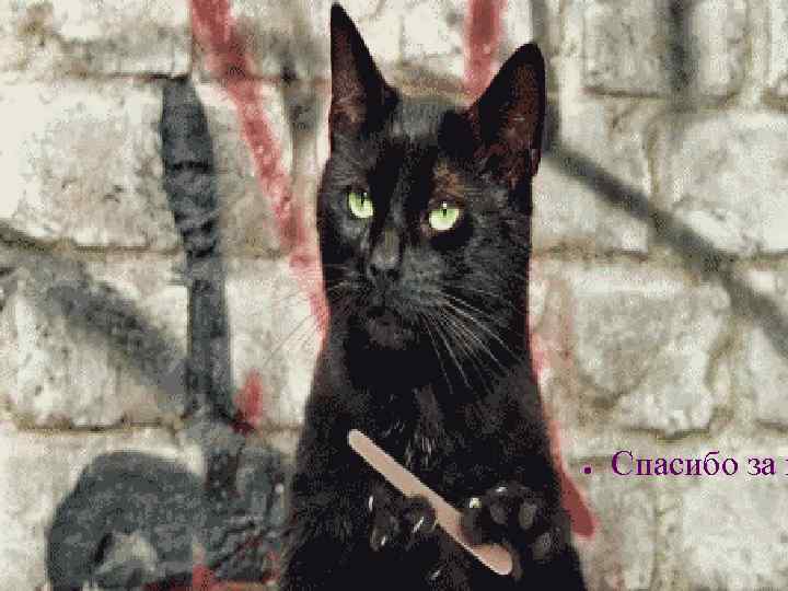 ● Спасибо за в 