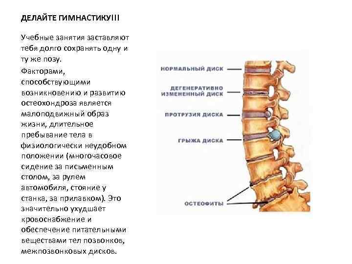 ДЕЛАЙТЕ ГИМНАСТИКУ!!! Учебные занятия заставляют тебя долго сохранять одну и ту же позу. Факторами,