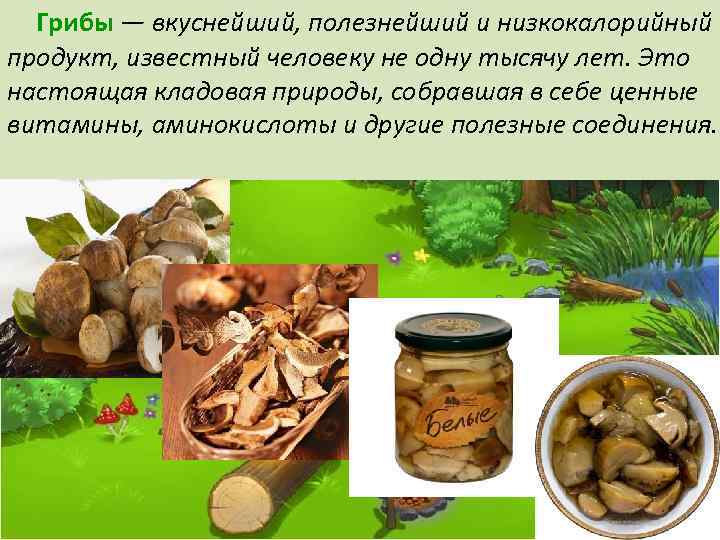  Грибы — вкуснейший, полезнейший и низкокалорийный продукт, известный человеку не одну тысячу лет.