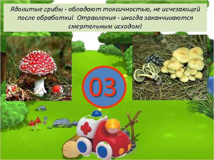 Ядовитые грибы - обладают токсичностью, не исчезающей после обработки! Отравления - иногда заканчиваются смертельным