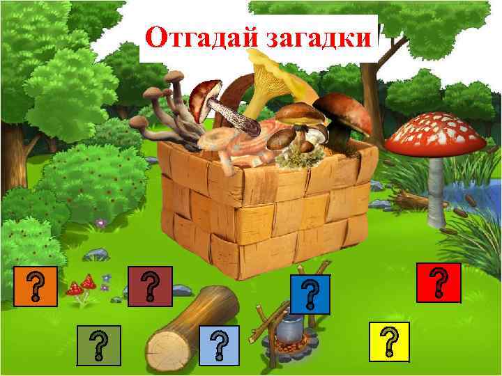 Отгадай загадки 