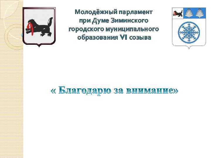 Молодёжный парламент при Думе Зиминского городского муниципального образования VI созыва 