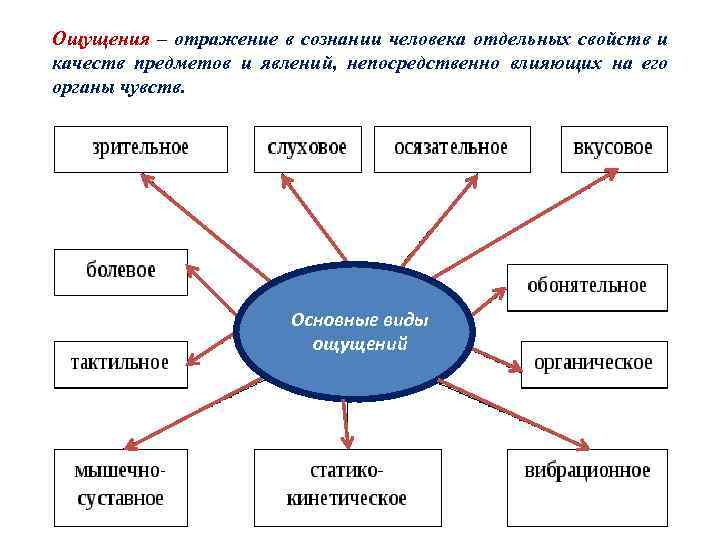 Отражение в сознании человека предметов