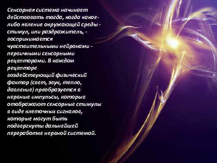 Сенсорная система начинает действовать тогда, когда какое либо явление окружающей среды стимул, или раздражитель,