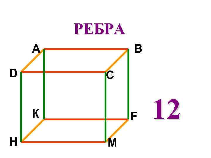 РЕБРА A D B C К H F М 12 