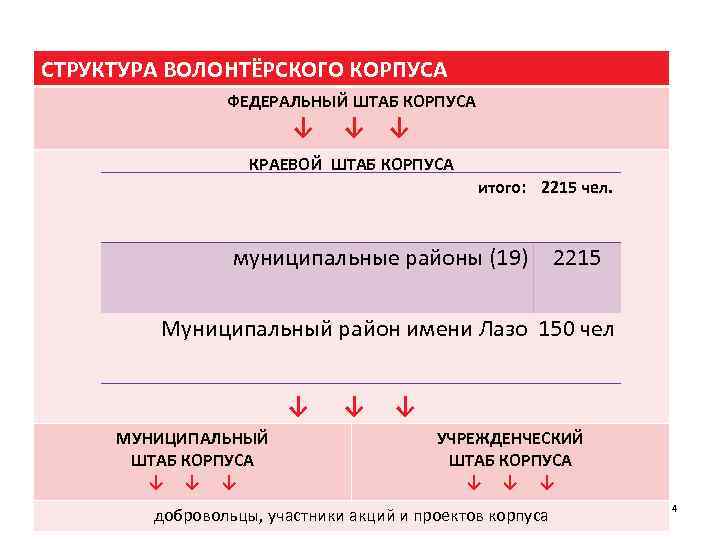 СТРУКТУРА ВОЛОНТЁРСКОГО КОРПУСА ФЕДЕРАЛЬНЫЙ ШТАБ КОРПУСА ↓ ↓ ↓ КРАЕВОЙ ШТАБ КОРПУСА итого: 2215