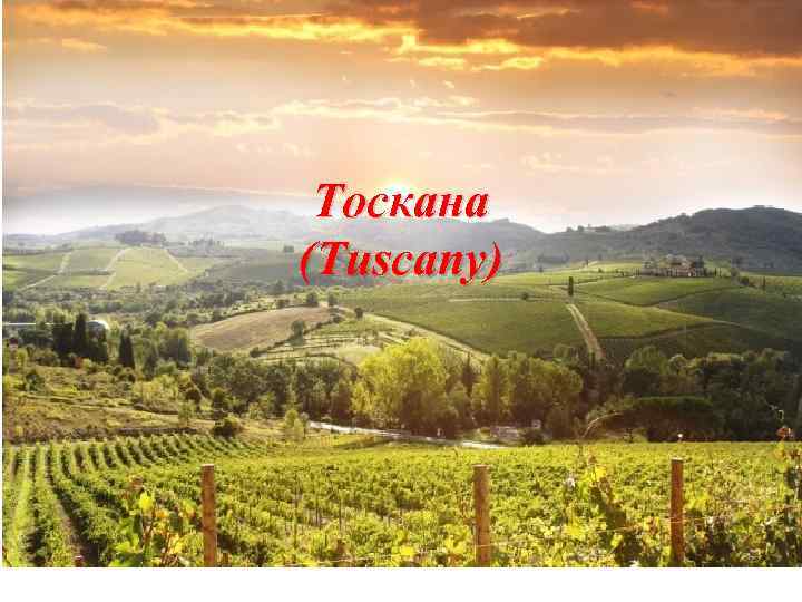 Тоскана (Tuscany) 