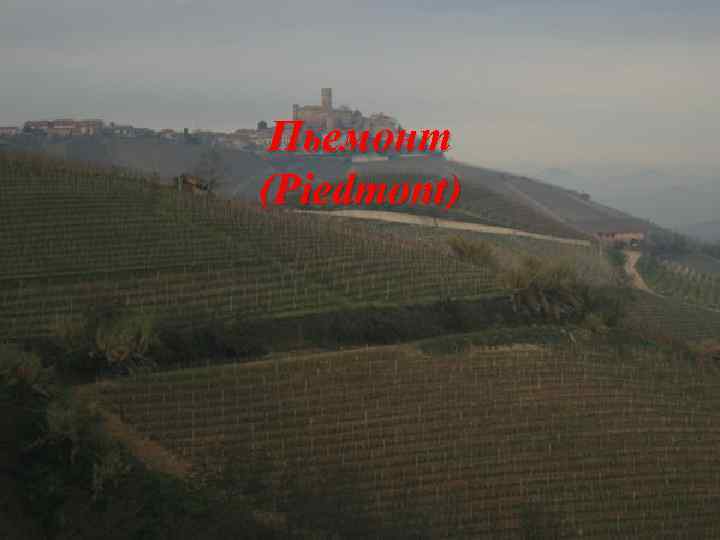 Пьемонт (Piedmont) 