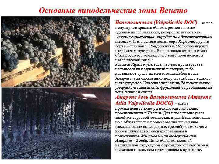 Основные винодельческие зоны Венето Вальполичелла (Valpolicella DOC) – самое популярное красная область региона и