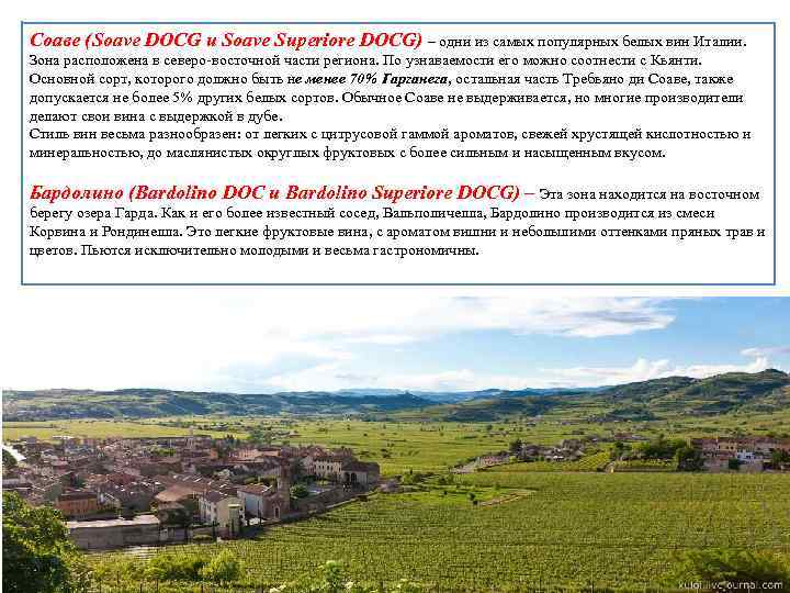 Соаве (Soave DOCG и Soave Superiore DOCG) – одни из самых популярных белых вин