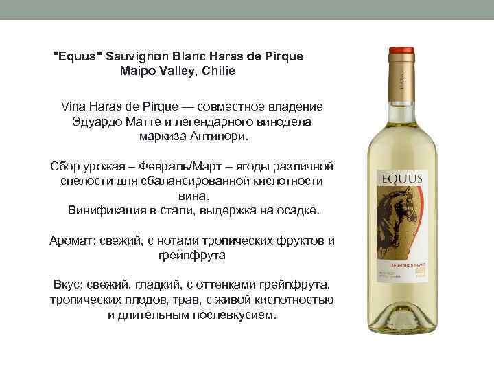 "Equus" Sauvignon Blanc Haras de Pirque Maipo Valley, Chilie Vina Haras de Pirque —