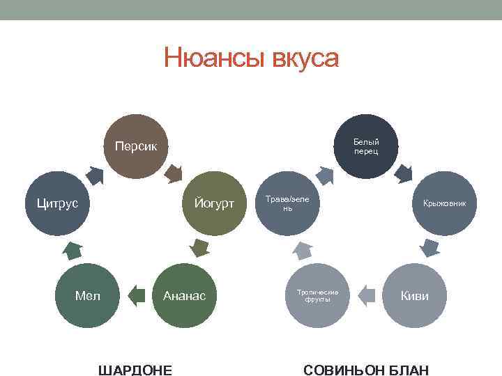 Нюансы вкуса Белый перец Персик Цитрус Йогурт Мел Ананас ШАРДОНЕ Трава/зеле нь Тропические фрукты