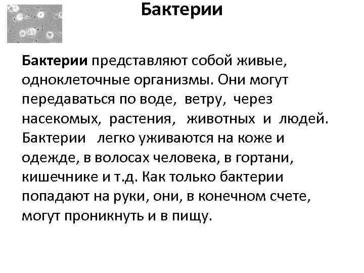 Бактерии представляют собой живые, одноклеточные организмы. Они могут передаваться по воде, ветру, через насекомых,