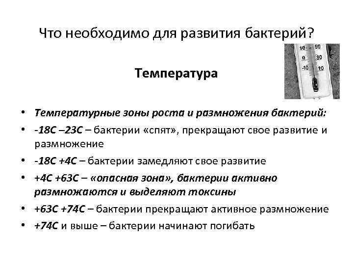 Оптимальная температура для микроорганизмов. Для развития микроорганизмов нужно. Температура развития микроорганизмов. Оптимальная температура для развития бактерий. Влияние температуры на размножение бактерий.