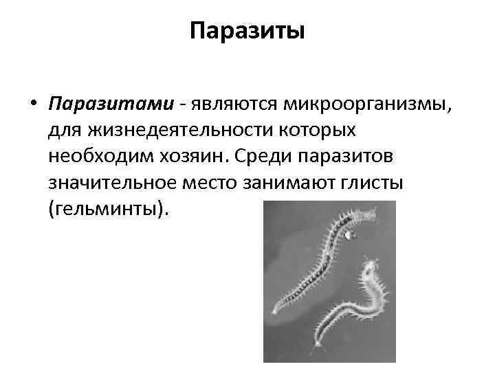 Паразиты • Паразитами - являются микроорганизмы, для жизнедеятельности которых необходим хозяин. Среди паразитов значительное