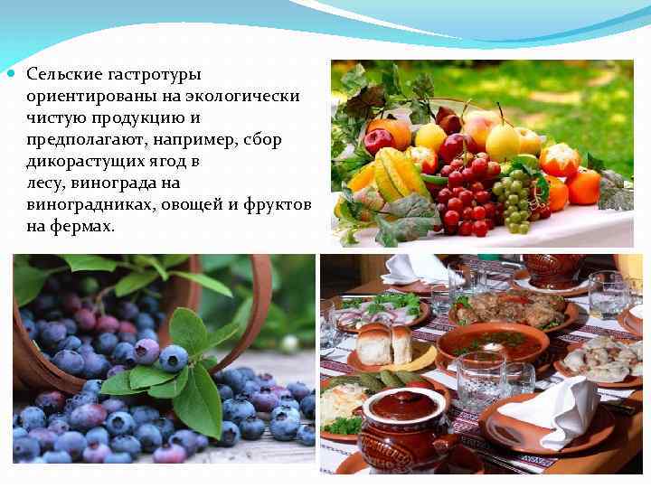  Сельские гастротуры ориентированы на экологически чистую продукцию и предполагают, например, сбор дикорастущих ягод