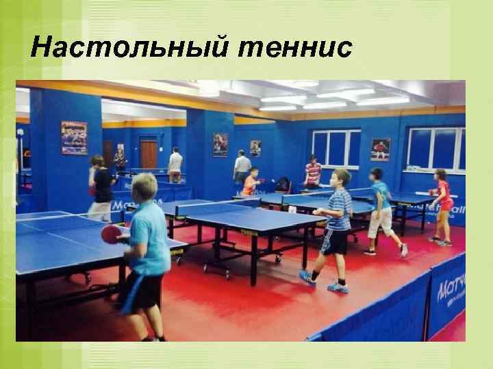 Настольный теннис 