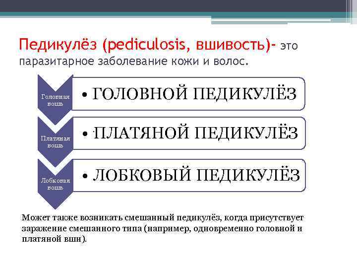 Педикулёз (pediculosis, вшивость)- это паразитарное заболевание кожи и волос. Головная вошь Платяная вошь Лобковая