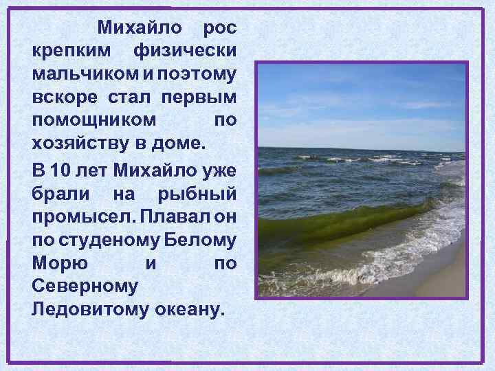 Михайло рос крепким физически мальчиком и поэтому вскоре стал первым помощником по хозяйству в