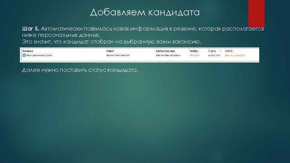 Добавляем кандидата Шаг 5. Автоматически появилась новая информация в резюме, которая располагается ниже персональных