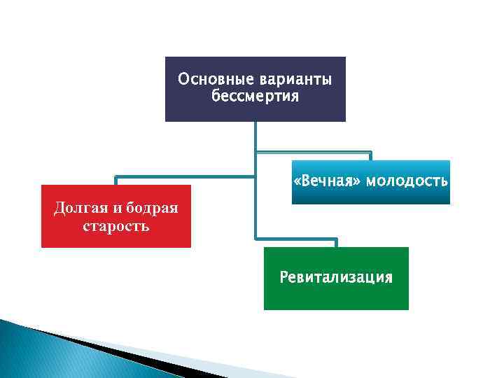 Способы иммортализации философия. Иммортализация бессмертие.