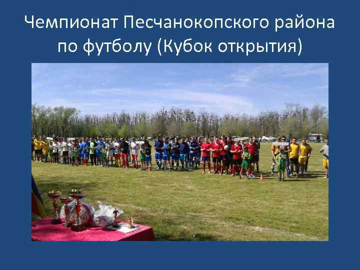 Чемпионат Песчанокопского района по футболу (Кубок открытия) 