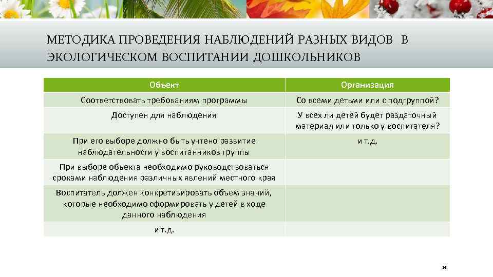 МЕТОДИКА ПРОВЕДЕНИЯ НАБЛЮДЕНИЙ РАЗНЫХ ВИДОВ В ЭКОЛОГИЧЕСКОМ ВОСПИТАНИИ ДОШКОЛЬНИКОВ Объект Организация Соответствовать требованиям программы
