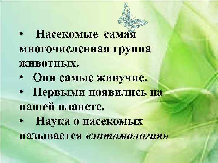  • Насекомые самая многочисленная группа животных. • Они самые живучие. • Первыми появились