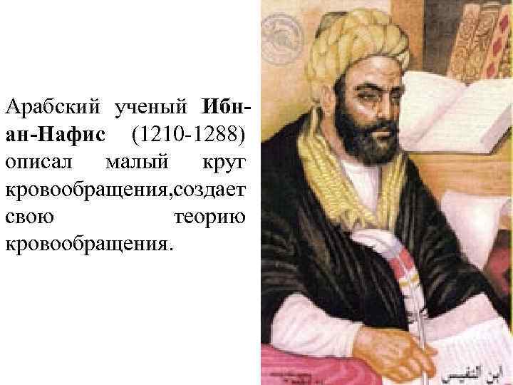 Арабские ученые. Ибн Аль Нафис. Ибн Аль Нафиза кровообращение. Ибн АН-Нафис, Абу Аль-Хазм ибн АН-Нафис. Ибн АН Нафис кровообращение.
