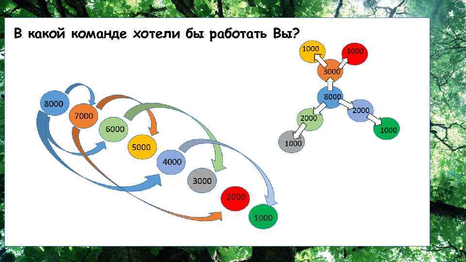 В какой команде хотели бы работать Вы? 