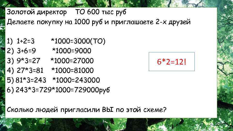 Золотой директор ТО 600 тыс руб Делаете покупку на 1000 руб и приглашаете 2