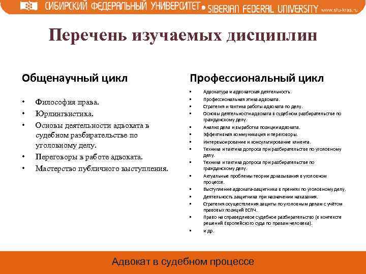 Перечень изучаемых дисциплин Общенаучный цикл • • • Философия права. Юрлингвистика. Основы деятельности адвоката