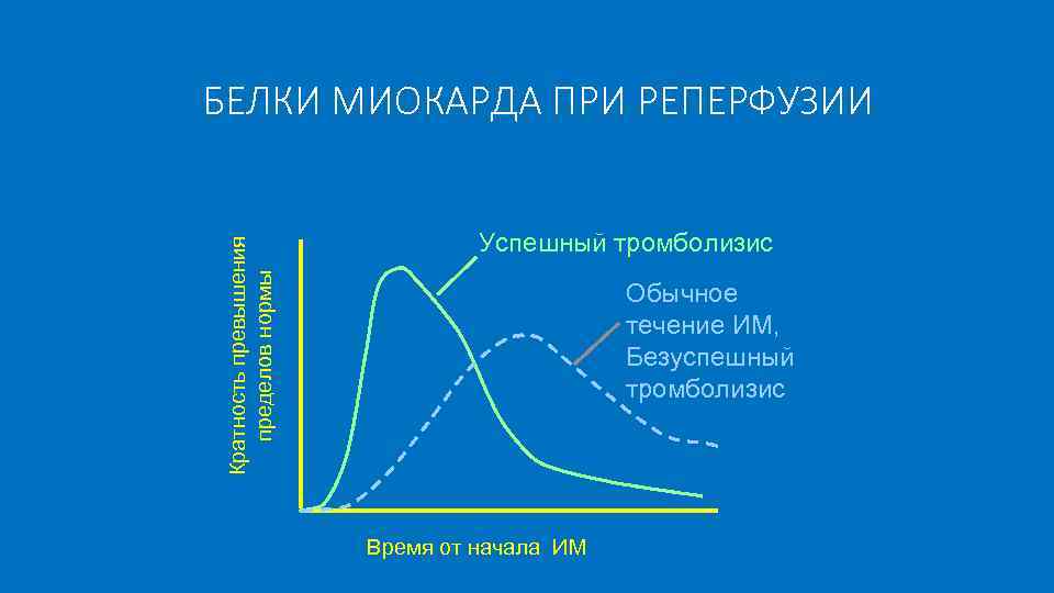 Кратность превышения пределов нормы БЕЛКИ МИОКАРДА ПРИ РЕПЕРФУЗИИ Успешный тромболизис Обычное течение ИМ, Безуспешный