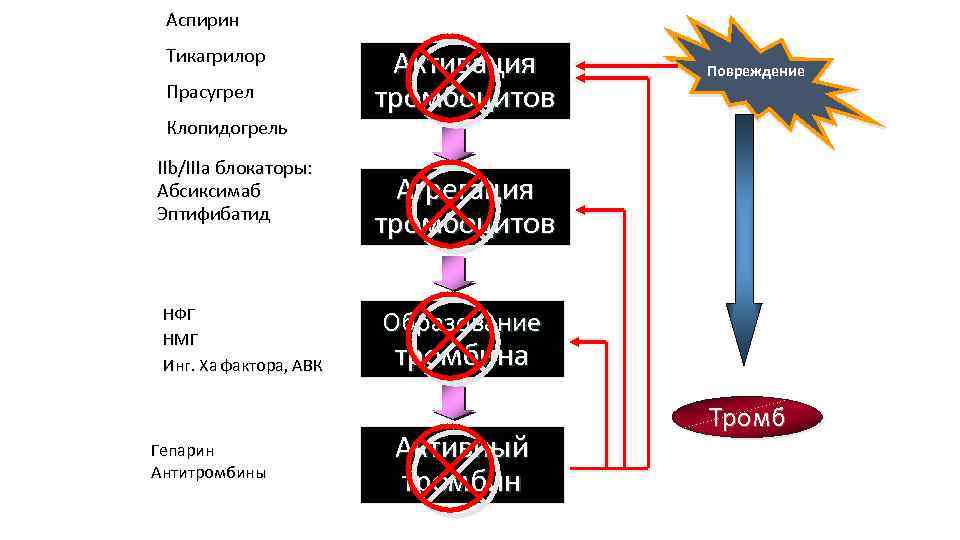 Аспирин Тикагрилор Прасугрел Клопидогрель IIb/IIIa блокаторы: Абсиксимаб Эптифибатид НФГ НМГ Инг. Ха фактора, АВК