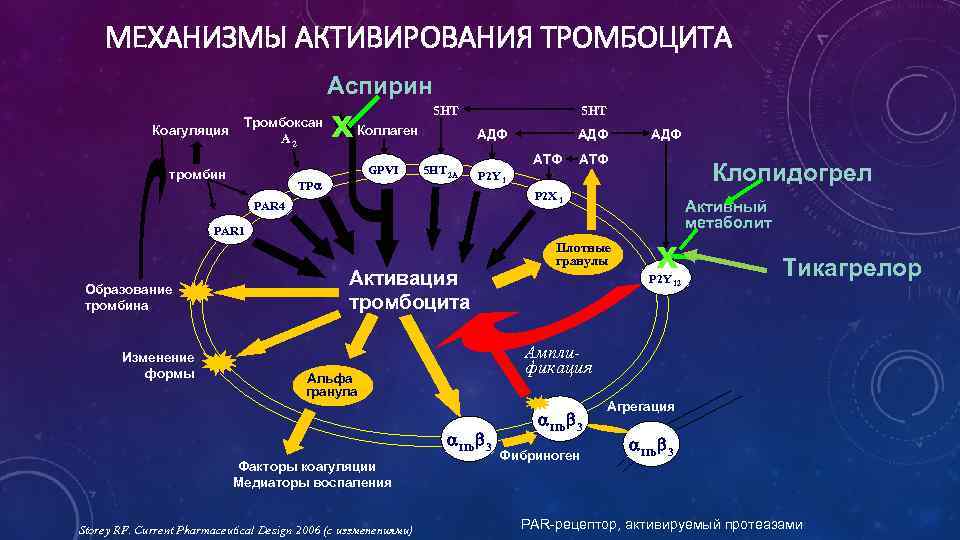 МЕХАНИЗМЫ АКТИВИРОВАНИЯ ТРОМБОЦИТА Аспирин Коагуляция Тромбоксан A 2 тромбин x 5 HT Коллаген GPVI