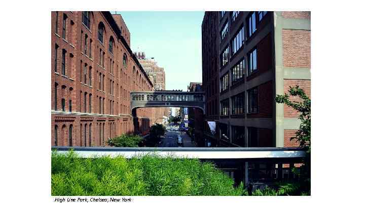 High Line Park, Chelsea, New York 