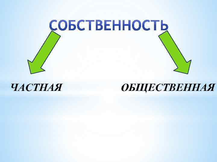 ЧАСТНАЯ ОБЩЕСТВЕННАЯ 