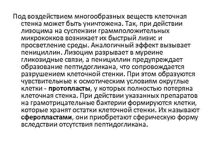 Под воздействием многообразных веществ клеточная стенка может быть уничтожена. Так, при действии лизоцима на