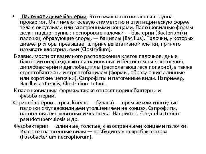  • Палочковидные бактерии. Это самая многочисленная группа прокариот. Они имеют осевую симметрию и