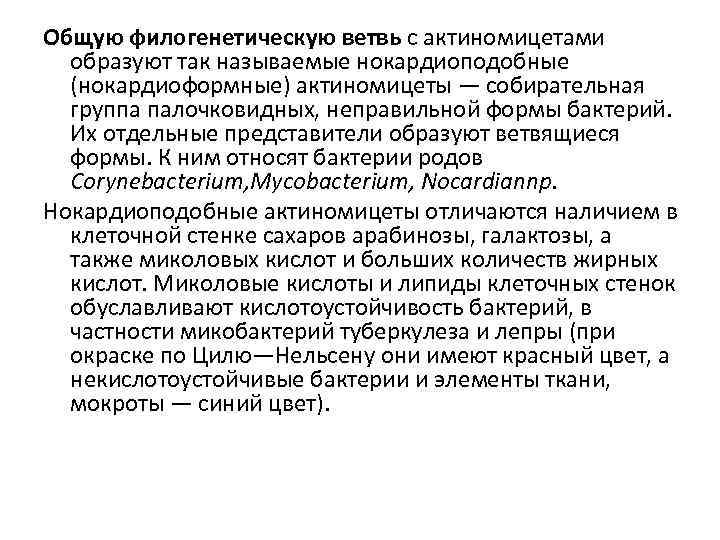 Общую филогенетическую ветвь с актиномицетами образуют так называемые нокардиоподобные (нокардиоформные) актиномицеты — собирательная группа