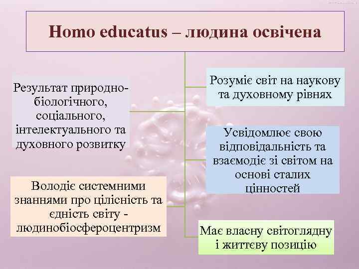 Homo educatus – людина освічена Результат природнобіологічного, соціального, інтелектуального та духовного розвитку Володіє системними