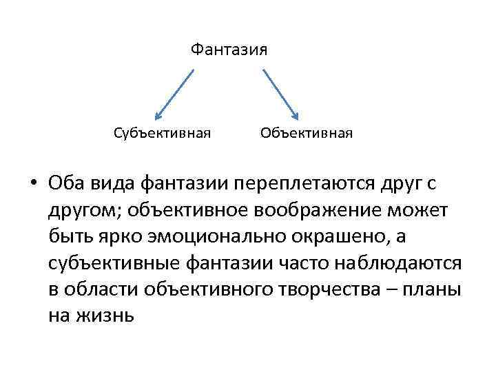 Объективная область