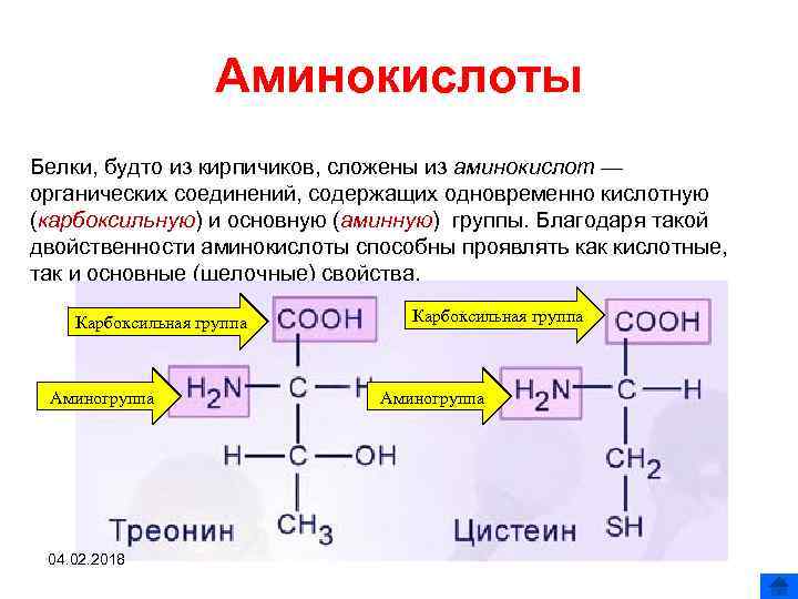 Аминокислоты химические соединения. Строение аминокислот биохимия. Белок источник аминокислот. Белок аминокислоты схема. Химические свойства аминокислот кислотно-основные свойства.