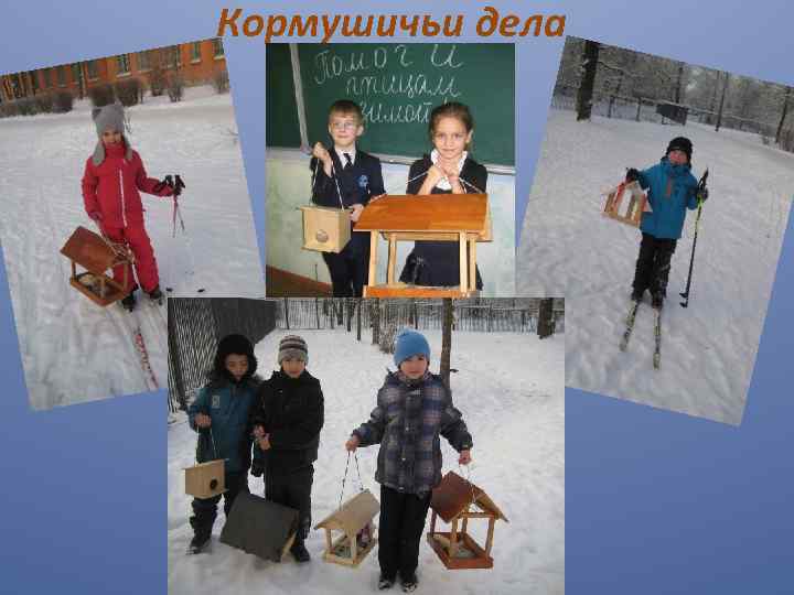 Кормушичьи дела 