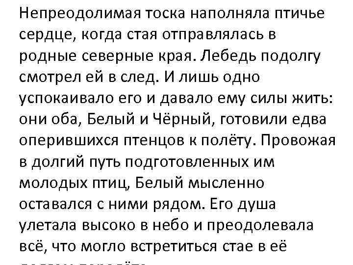 Непреодолимая тоска наполняла птичье сердце, когда стая отправлялась в родные северные края. Лебедь подолгу