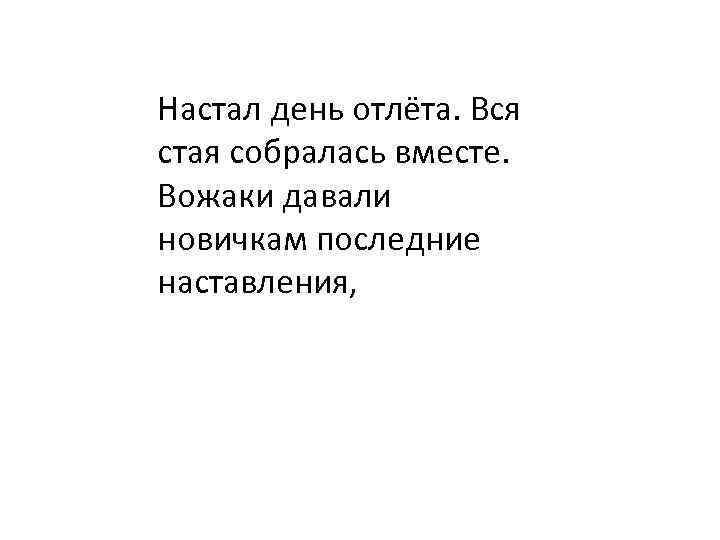 Настал день отлёта. Вся стая собралась вместе. Вожаки давали новичкам последние наставления, 