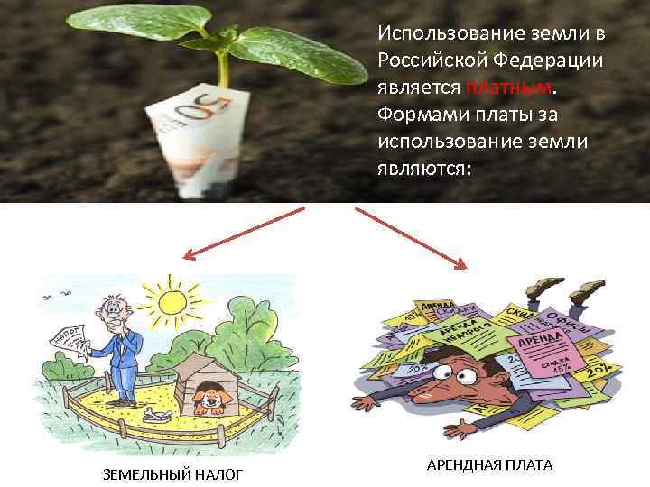 Использование земли в Российской Федерации является платным. Формами платы за использование земли являются: ЗЕМЕЛЬНЫЙ