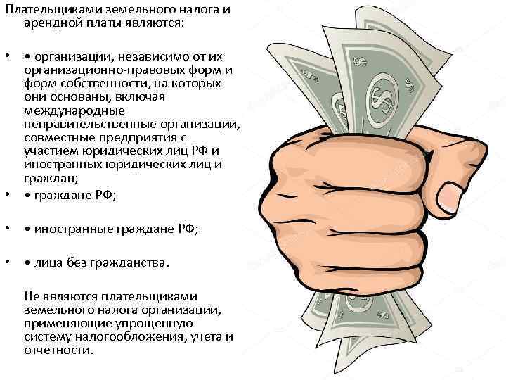 Плательщиками земельного налога и арендной платы являются: • • организации, независимо от их организационно-правовых