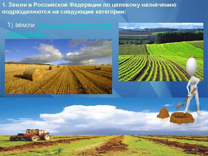 1. Земли в Российской Федерации по целевому назначению подразделяются на следующие категории: 1) земли